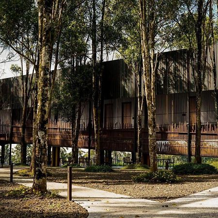 Teras Hotel Ijen Banyuwangi Banyuwangi  Buitenkant foto